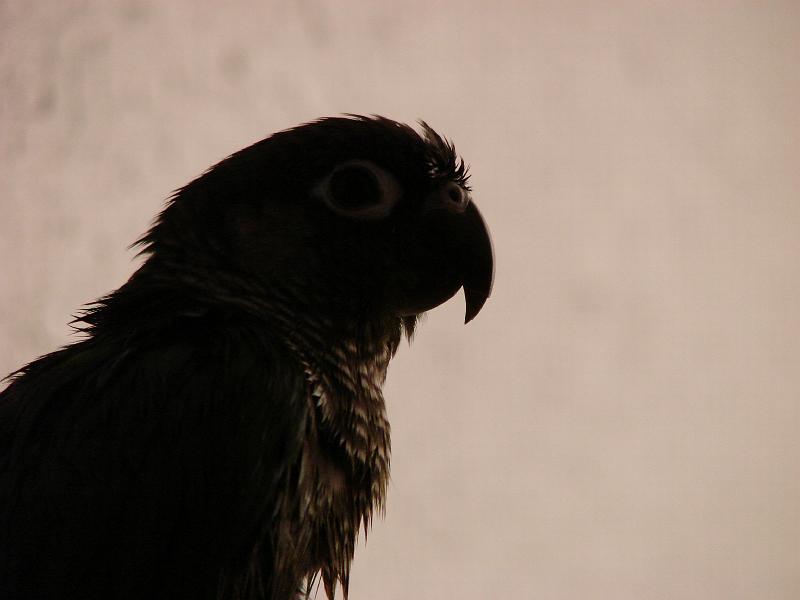 DSC00363.JPG