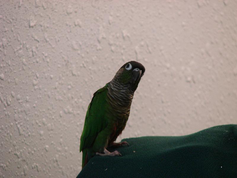 DSC00600.JPG