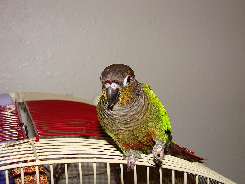 DSC00681.JPG
