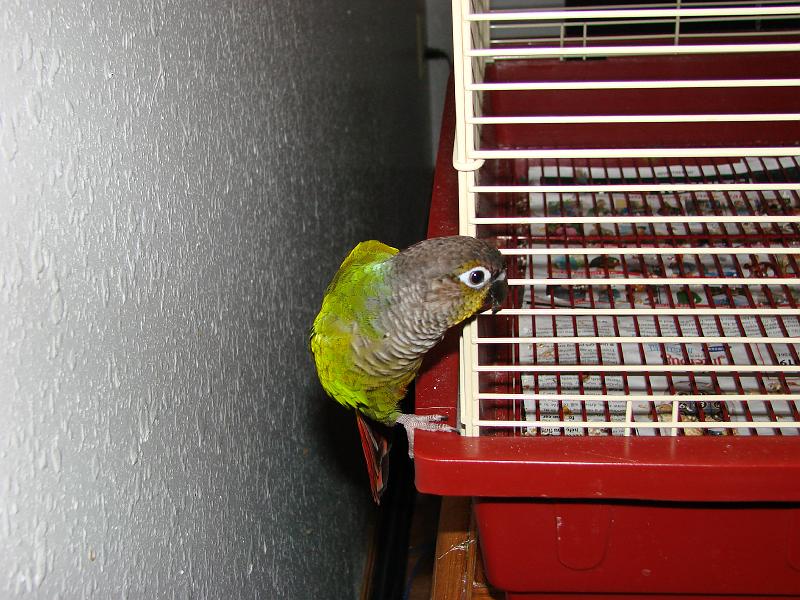 DSC00687.JPG