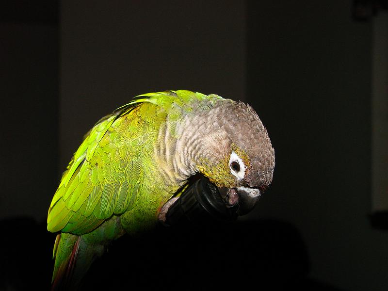 DSC00746.JPG