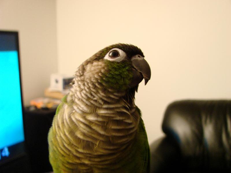 DSC00753.JPG