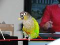 DSC00348