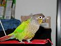 DSC00349