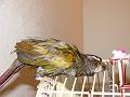 DSC00359