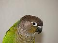DSC00507