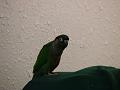 DSC00598
