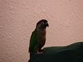 DSC00599