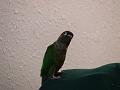 DSC00600