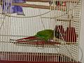 DSC00602