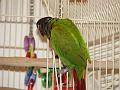 DSC00605