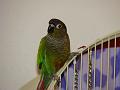DSC00610