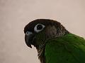 DSC00640
