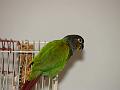 DSC00667
