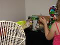 DSC00680