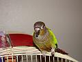 DSC00681