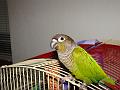 DSC00683