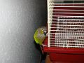 DSC00686