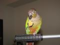 DSC00730