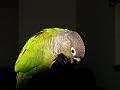 DSC00746