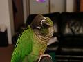 DSC00750