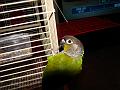 DSC00779